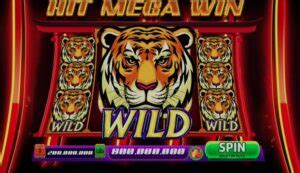 betswiz|The Science Behind Slot Machines .